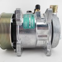 sanden-5039